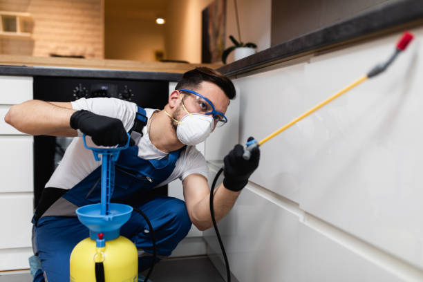 Best Emergency Pest Control  in Baraga, MI
