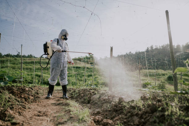 Best Affordable Pest Control Services  in Baraga, MI