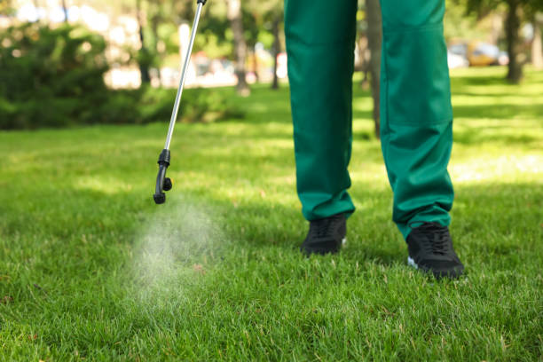 Best Cockroach Control Services  in Baraga, MI