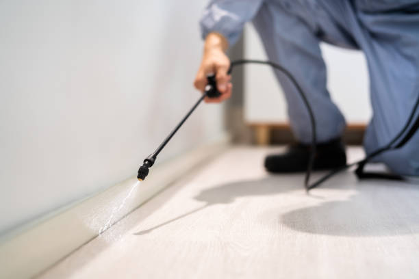 Best Residential Pest Control  in Baraga, MI