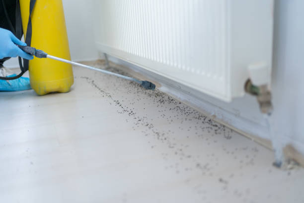 Best Pest Control Near Me  in Baraga, MI