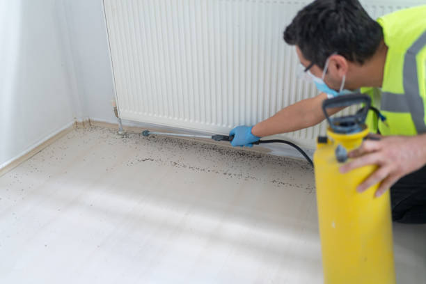 Best Pest Inspection Near Me  in Baraga, MI
