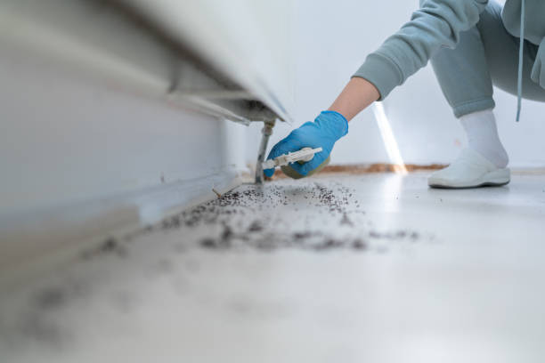 Professional Pest Control in Baraga, MI