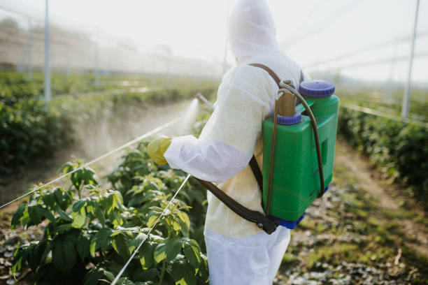 Best Local Pest Control Services  in Baraga, MI